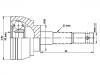 CV Joint Kit:39100-01A00